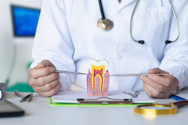 Best 24-Hour Emergency Dental Care in Dimondale, MI